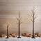 3ft. 5ft. 6ft. Artificial Brown Birch Trees with Warm White LED Lights - Set of 3